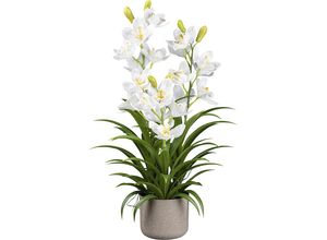 4064118990048 - Künstliche Orchidee Cymbidie Melamintopf Höhe 700 mm kaiserkraft 4064118990048 - Künstliche Orchidee Cymbidie Melamintopf Höhe 700 mm kaiserkraft