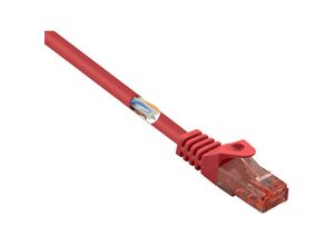 4064161087795 - ROT - Basetech BT-2272293 RJ45 Netzwerkkabel Patchkabel cat 6 u utp 300 m mit Rastnasenschutz Halog