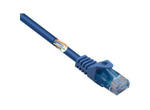 4064161201108 - RF-5042666 RJ45 Netzwerkkabel Patchkabel cat 5e u utp 500 m Blau mit Rastnasenschutz Ha - Renkforce