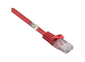 4064161203027 - Renkforce RF-5043840 RJ45 Netzwerkkabel Patchkabel CAT 5e U UTP 100 m Rot mit Rastnasenschutz 1 St