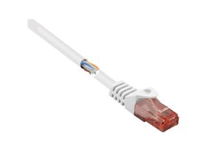 4064161203256 - RF-5043886 RJ45 Netzwerkkabel Patchkabel cat 6 u utp 100 m Weiß mit Rastnasenschutz Hal - Renkforce