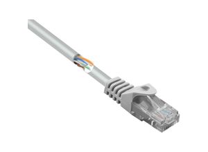 4064161204031 - Renkforce RF-5043978 RJ45 Netzwerkkabel Patchkabel CAT 5e U UTP 015 m mit Rastnasenschutz 1 S