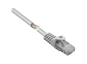 4064161204055 - RF-5043982 RJ45 Netzwerkkabel Patchkabel cat 5e u utp 200 m Grau mit Rastnasenschutz 1 s - Renkforce