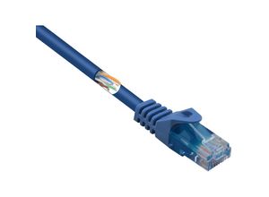 4064161204246 - RF-5044020 RJ45 Netzwerkkabel Patchkabel cat 5e u utp 300 m Blau mit Rastnasenschutz Ha - Renkforce