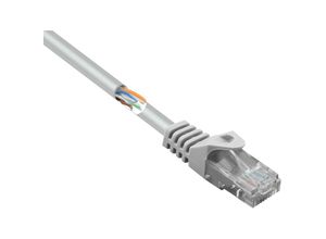 4064161207186 - RF-5047502 RJ45 Netzwerkkabel Patchkabel cat 5e u utp 500 m Grau mit Rastnasenschutz 1 s - Renkforce