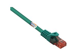 4064161216997 - RF-5153666 RJ45 Netzwerkkabel Patchkabel cat 6 u utp 300 m Grün mit Rastnasenschutz Hal - Renkforce