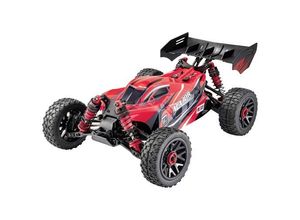 4064161224497 - Major Rot Brushed 114 RC Modellauto Elektro Buggy Allradantrieb (4WD) RtR 24 GHz Inkl Akku und Ladegerät