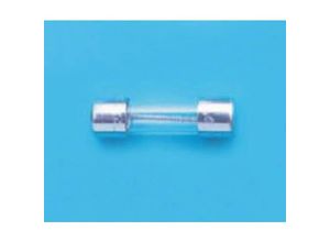 4064161283555 - 5ST 250-R BEL FUSE 5ST 250 mA Feinsicherung (Ø x L) 5 mm x 20 mm Träge -T- Inhalt 100 St Bulk