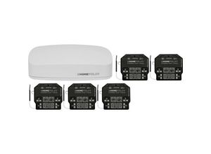 4064161304809 - 15001001+11941002 HOMEPILOT 2-Kanal Funk Starterkit Beleuchtung