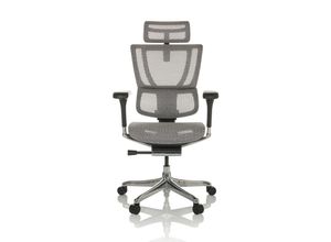 4064323035671 - Luxus Chefsessel ERGOHUMAN SLIM GEN2 Netzstoff mit Armlehnen (höhenverstellbar) hjh OFFICE