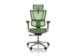 4064323035695 - Luxus Chefsessel ERGOHUMAN SLIM GEN2 Netzstoff mit Armlehnen (höhenverstellbar) hjh OFFICE