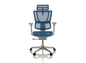 4064323035732 - Luxus Chefsessel ERGOHUMAN SLIM G GEN2 Netzstoff mit Armlehnen (höhenverstellbar) hjh OFFICE