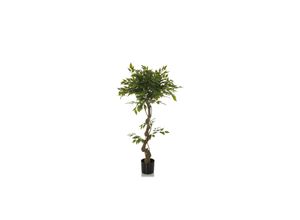 4064323036524 - Kunstpflanze FICUS I Kunststoff Stoff hjh OFFICE