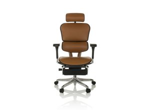 4064323037712 - Luxus Chefsessel ERGOHUMAN PLUS LEGPRO GEN2 Leder mit Armlehnen (höhenverstellbar) hjh OFFICE