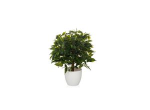 4064323038481 - Kunstpflanze Ficus 871061 4064323038481 HJH Office GmbH