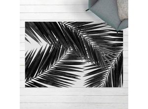 4064492218790 - Micasia - Vinyl-Teppich - Blick durch Palmenblätter schwarz weiß - Querformat 23 Größe HxB 40cm x 60cm
