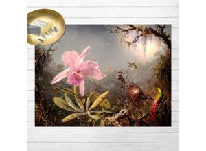 4064492288427 - Micasia - Vinyl-Teppich - Martin Johnson Heade - Orchidee und drei Kolibris - Querformat 34 Größe HxB 60cm x 80cm