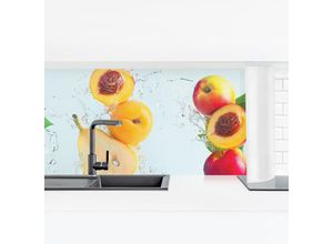 4064493116668 - Micasia - Küchenrückwand - Fruchtsalat Größe HxB 50cm x 175cm Material Magnetisch