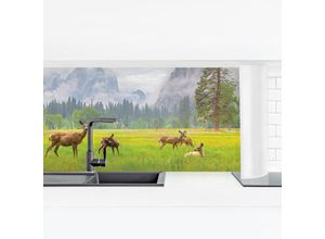 4064493118129 - Micasia - Küchenrückwand - Rehe in den Bergen Größe HxB 40cm x 140cm Material Magnetisch
