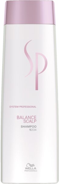 4064666043425 - Hautschützendes Schampoo System Professional sp Ausgleichende (250 ml) 4064666043425 - Hautschützendes Schampoo System Professional sp Ausgleichende (250 ml)