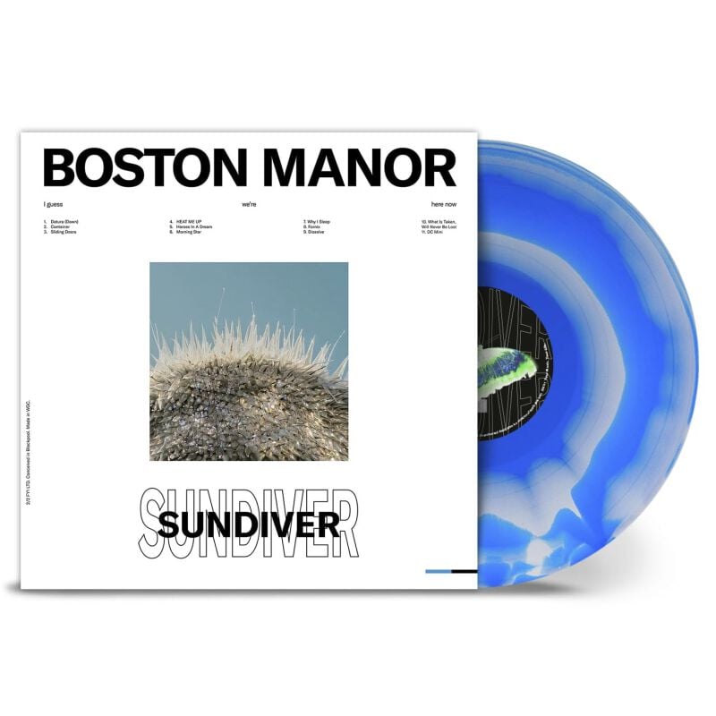 4065629724085 - Sundiver LP multicolor