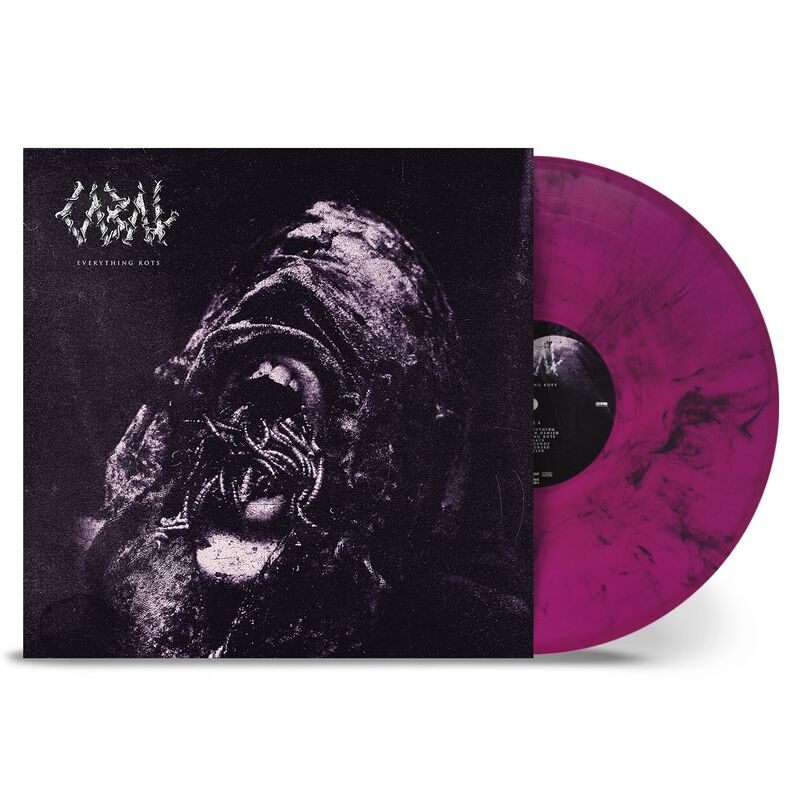 4065629729318 - Everything rots LP multicolor