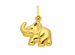 4065633255599 - Kette mit Anhänger ADELIA´S 333 Gold Elefant Halsketten Gr Gelbgold 333 goldfarben (gold) Damen Ketten mit Anhänger Schmuckset - Set Halskette