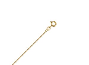 4065633529140 - Goldkette Halskette aus 333 Gelbgold Ø 12 mm Halsketten Gr 36 Gelbgold 333 goldfarben (gold) Damen Goldketten Gold Schmuck Rundankerkette