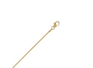 4065633530498 - Goldkette Halskette aus 333 Gelbgold Ø 1 mm Halsketten Gr 42 Gelbgold 333 goldfarben (gold) Damen Goldketten Gold Schmuck Tonda rund Reif