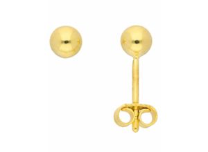 4065633625040 - Paar Ohrhänger ADELIA´S 1 333 Gold Ohrringe   Ohrstecker Ø 4 mm Gr Damen Gelbgold 333 goldfarben (gold) Damen Ohrhänger 333 Gold Goldschmuck für