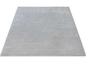 4065656020570 - Teppich Maximo 30 Teppiche Gr B L 200 cm x 290 cm 16 mm 1 St grau Esszimmerteppiche weicher dichter Kurzflor Kunstfellteppich Fell Haptik Wohnzimmer