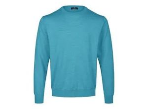 4065691386884 - Rundhals-Pullover türkis 50