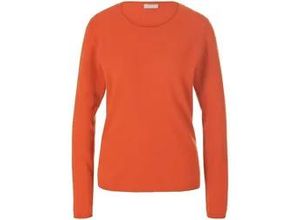 4065691565715 - Rundhals-Pullover aus Schurwolle und Kaschmir orange 36