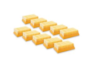 4065705958953 - Vhbw - Set 10x Flachfaltenfilter kompatibel mit Kärcher MV6 p Premium Renovation Kit WD4 Car Kit WD4 Premium Staubsauger - Filterelement