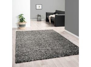 4065975019255 - Vimoda - Hochflor Teppich lux Shaggy Wohnzimmer Schlafzimmer Mehrfarbig Meliert Extra Dicht120x170 cm Anthrazit