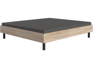 4065979038283 - Bett WIMEX Easy große Auswahl an Größen und Farben auch in Komforthöhe eiche sägegrau schwarz H38cm L210cm Betten ohne Kopfteil ideal unter Dachschrägen oder Fenster