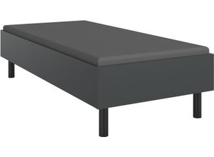 4065979038771 - Bett WIMEX Easy große Auswahl an Größen und Farben auch in Komforthöhe grau (graphit schwarz) H46cm L210cm Betten ohne Kopfteil ideal unter Dachschrägen oder Fenster