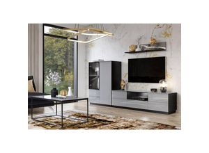 4066075019923 - Anbauwand Wohnzimmer grau HOOVER-83 modern mit Glasfronten und led Beleuchtung b h t ca 295 195 48 cm - grau