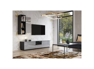 4066075019954 - Anbauwand Wohnzimmer grau HOOVER-83 modern mit Glasfronten und Beleuchtung b h t ca 210 195 48 cm - grau