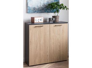 4066075036616 - Lomadox - Aktenschrank Büro META-80 in anthrazit mit Eiche hell Nb b h t ca 802 842 41 cm - braun