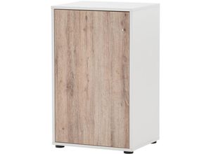 4066075037811 - Lomadox - Büro Aktenschrank BRAGA-80 in weiß mit Wildeiche Nb b h t ca 51 836 41 cm - weiß