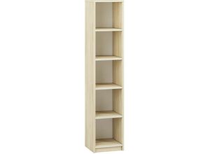 4066075052937 - Kinderzimmer Regal Fjord Buche Nb DARDA-131  B H T ca 42 199 40 cm - beige