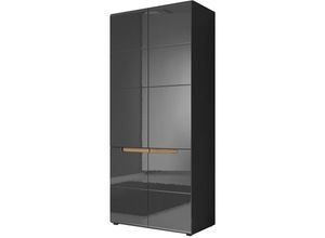 4066075070924 - Lomadox - Schlafzimmer Kleiderschrank in anthrazit mit anthrazit Hochglanz und Appenzeller Fichte Nb HERNING-83 b h t ca 91 207 60 cm - anthrazit