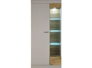 4066075088196 - Vitrine ohne Beleuchtung SINAIA-61 in grau matt mit Zinn Eiche Nb b h t ca 90 199 35 cm - grau