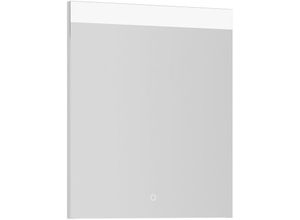 4066075094302 - Badezimmer Spiegel mit led Beleuchtung PALERMO-136-GREY b h t ca 60 72 25 cm - grau