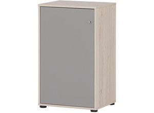 4066075113416 - Lomadox - Büro Aktenschrank BRAGA-80 in Sandeiche Nb mit grau b h t ca 509 836 41 cm - braun