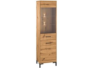 4066075126034 - Lomadox - Vitrine Artisan Eiche Nb NASSAU-131 b h t ca 55 200 40 cm - braun