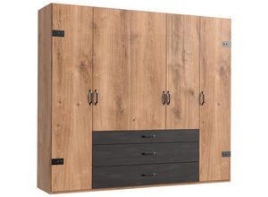 4066075135906 - Kleiderschrank 5-trg 250 cm Eiche mit Stahl Nb DAVENPORT-43 - braun