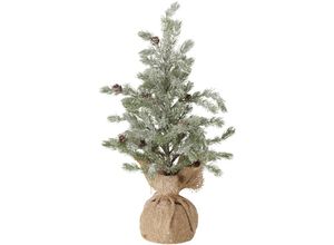 4066076111237 - Weihnachtsbaum Teppo (Tanne Höhe 54 cm mit Standfuß) 2027159 - Boltze