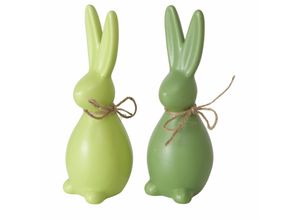 4066076477654 - Hase PADDY 4066076477654 - Hase PADDY